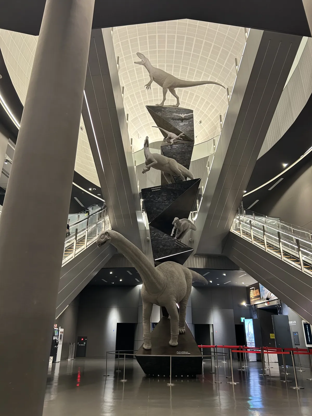 日本で発見された恐竜たちの展示コーナー