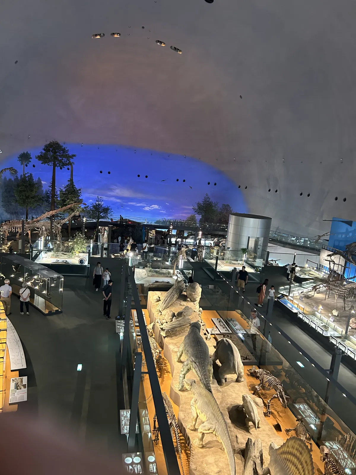 福井県立恐竜博物館の館内展示の様子