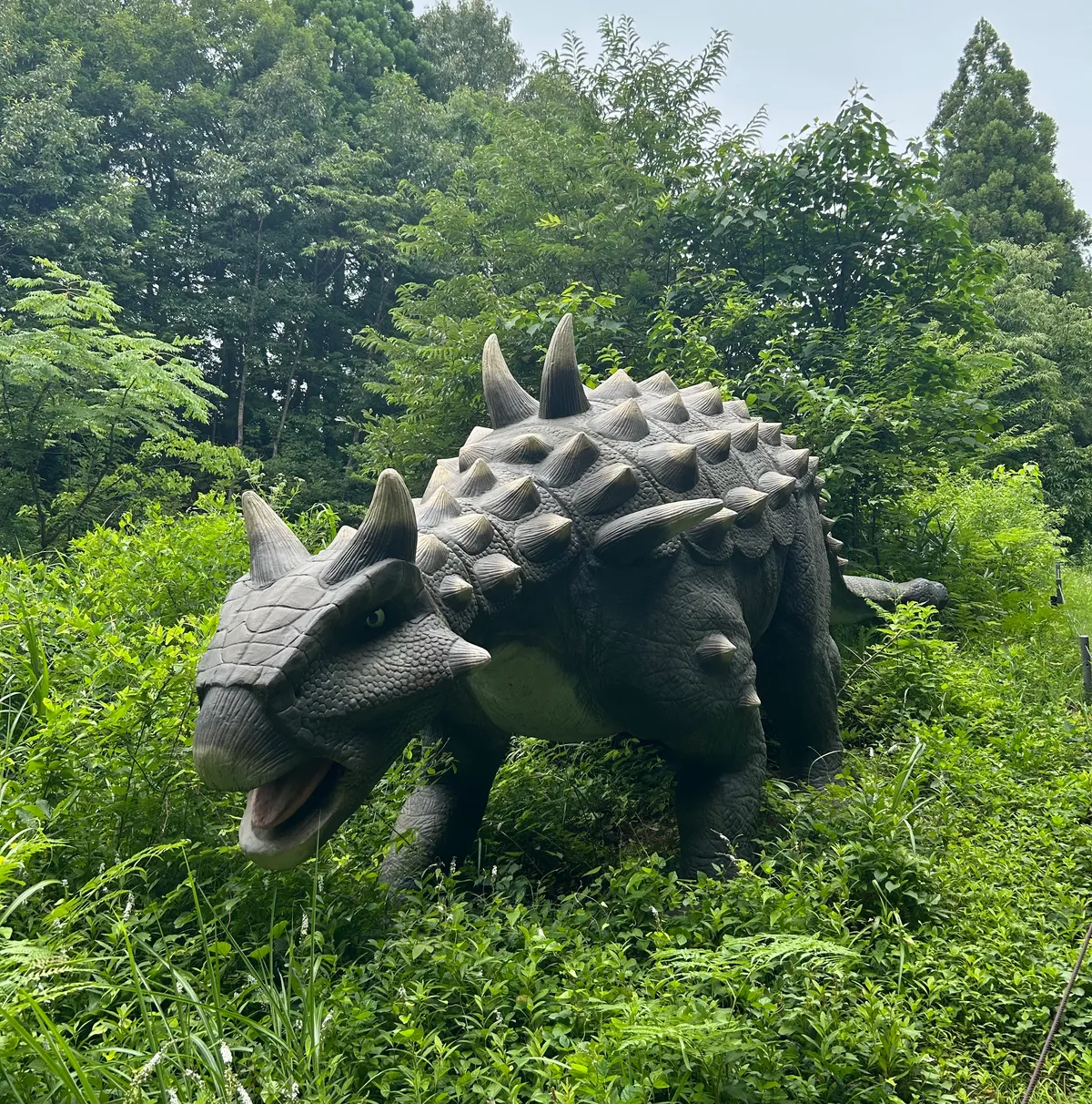 頑丈な装甲を持つアンキロサウルス